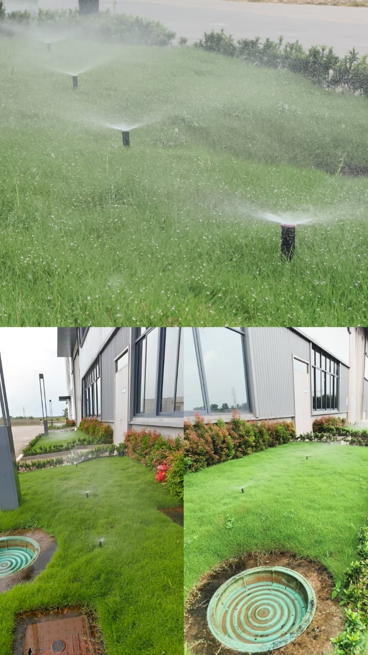 Jasa landscaping taman kantor dan pabrik oleh Tigaputrajaya dengan pemasangan sprinkler serta penanaman rumput jepang rumput swiss taman
